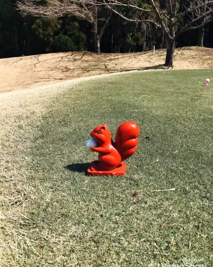 川原由維のグルメインスタ