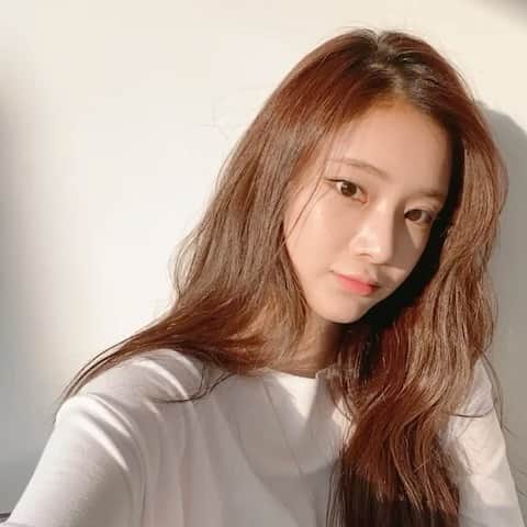 Chuuのインスタグラム：「츄멤님들 오늘도 수고하셨습니다💕💕 #chuuseoul」