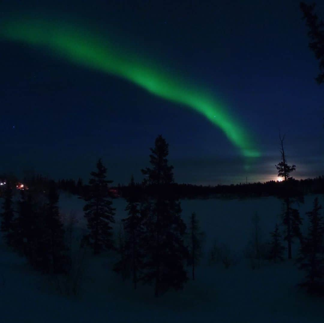 瀬稀ゆりとさんのインスタグラム写真 - (瀬稀ゆりとInstagram)「Breathtaking views of Yellowknife. It was freezing cold but it was a great experience. . . イエローナイフでオーロラを観てきました。私のカメラワークが乏しく、感動を100%お伝え出来ないのが歯痒いのですが…😅ゆらゆらと動く光のカーテン、沢山の星たち、絶景でした！. . . . #northenlights #aurora #オーロラ #yellowknife #canada🇨🇦 #夜空  #死ぬまでに行きたい世界の絶景」3月12日 21時43分 - yurito.seki