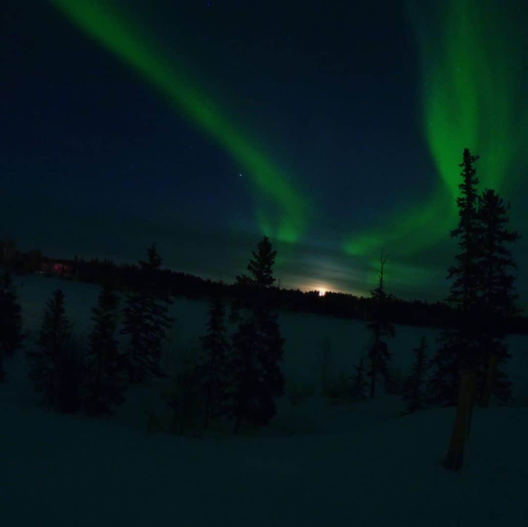 瀬稀ゆりとさんのインスタグラム写真 - (瀬稀ゆりとInstagram)「Breathtaking views of Yellowknife. It was freezing cold but it was a great experience. . . イエローナイフでオーロラを観てきました。私のカメラワークが乏しく、感動を100%お伝え出来ないのが歯痒いのですが…😅ゆらゆらと動く光のカーテン、沢山の星たち、絶景でした！. . . . #northenlights #aurora #オーロラ #yellowknife #canada🇨🇦 #夜空  #死ぬまでに行きたい世界の絶景」3月12日 21時43分 - yurito.seki