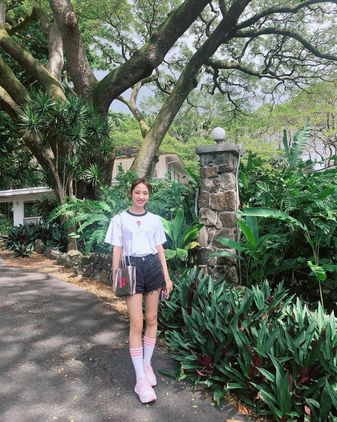 飯窪春菜さんのインスタグラム写真 - (飯窪春菜Instagram)「🌳🌴🌳 ・ ・ まだまだありますハワイの写真、ばーっと載せちゃいます🕊 ・ ・ ・ #hawaii  #travel  #はるなの毎日  #飯窪ってる」3月12日 21時59分 - harunaiikubo_official