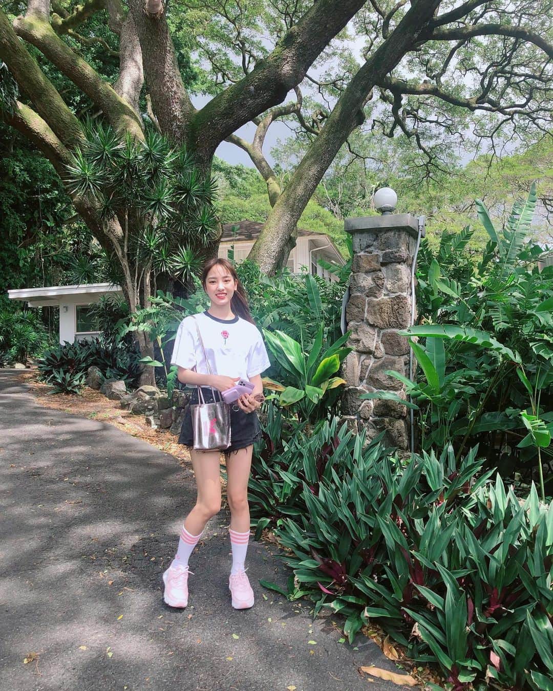 飯窪春菜さんのインスタグラム写真 - (飯窪春菜Instagram)「🌳🌴🌳 ・ ・ まだまだありますハワイの写真、ばーっと載せちゃいます🕊 ・ ・ ・ #hawaii  #travel  #はるなの毎日  #飯窪ってる」3月12日 21時59分 - harunaiikubo_official