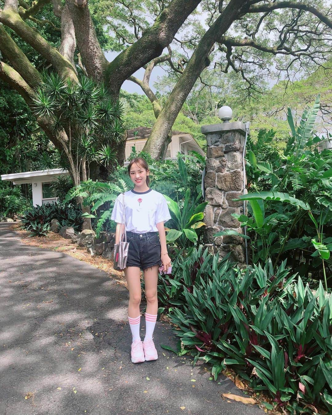 飯窪春菜さんのインスタグラム写真 - (飯窪春菜Instagram)「🌳🌴🌳 ・ ・ まだまだありますハワイの写真、ばーっと載せちゃいます🕊 ・ ・ ・ #hawaii  #travel  #はるなの毎日  #飯窪ってる」3月12日 21時59分 - harunaiikubo_official