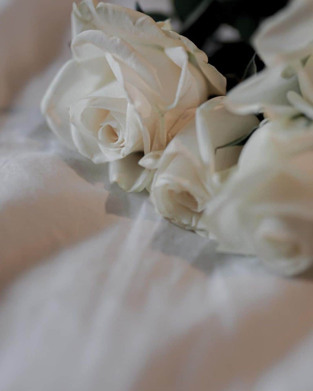 紺谷みえこさんのインスタグラム写真 - (紺谷みえこInstagram)「白いお花、白い空間、白いお洋服.. すきな色No.1は白。 ・ 無色のセクシーさや 無色の彩りもすき。 ・ ・ ・純白のドレスもね それが似合ってるあなたも。 ・ congratulations💍！！ ・  #white #color #rose #congratulations #happy #wedding  #birthday #family #model」3月12日 22時13分 - mieko113081