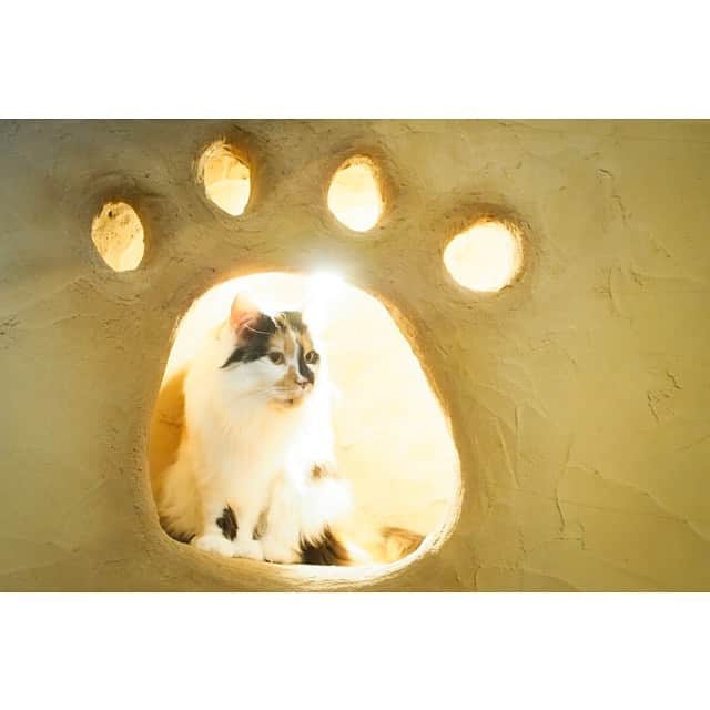 江嶋綾恵梨のグルメインスタ