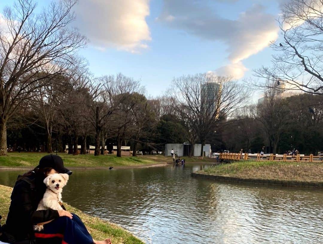 松井絵里奈さんのインスタグラム写真 - (松井絵里奈Instagram)「愛犬と公園でぼーっとしてた時に 見つけた景色❤︎ その美しさに心癒されました。 ・ 街は美しいもので溢れている。 それを見つけられる眼を心を 死ぬまでもっていたい。 #公園#公園が好き #水面#湖に行きたい #旅行好きな人と繋がりたい  #何気ない日常 #何気ない日常に感謝  #カメラ好きな人と繋がりたい」3月13日 10時22分 - erina74xx
