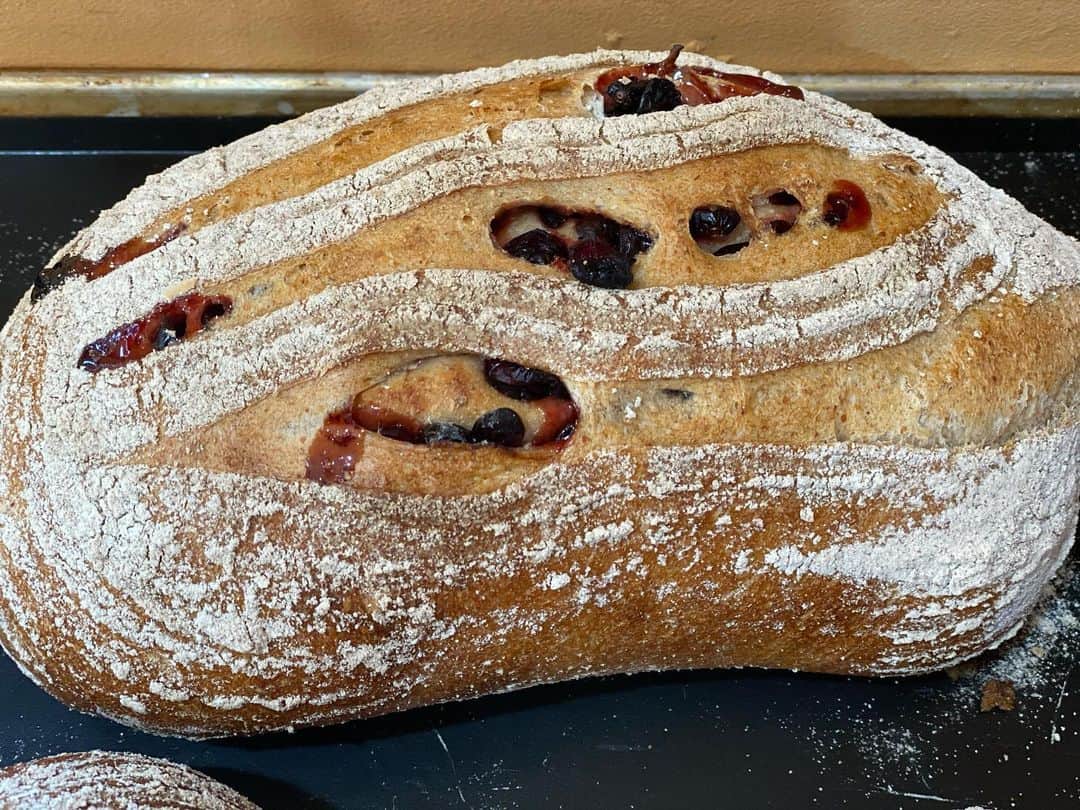 魔女菅原のグルメインスタ