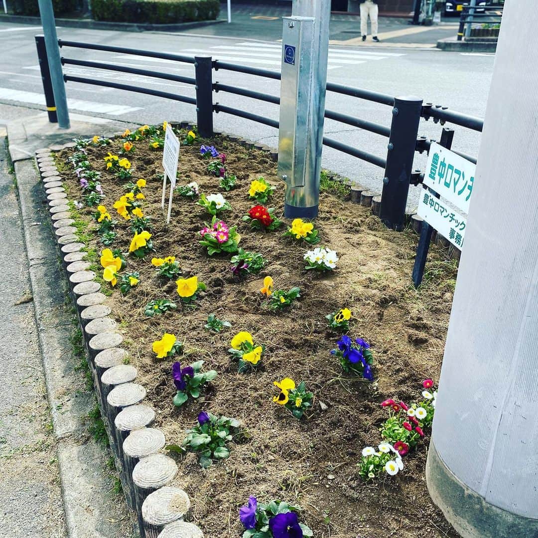 LIXILリフォームショップ外壁・家のリフォームのインスタグラム：「ロマンチック街道、会社近くの交差点の花壇のお花を増やしました🌸  ボランティアのご夫妻にも手伝っていただいて、残った雑草を取り除き、昨日買ってきたお花を植えました。 沢山買ってきたつもりだったけれど、まだまだ隙間が、、、💦 手入れしながら、花を増やしていこうと思います♪  道ゆく人達に 綺麗にしてくれてありがとう❤️ と声をかけていただきました😊  こんな時期だからこそ、少しでも皆さまの癒しになっていれば嬉しいです💕  リクシルリフォームショップ Wall house reform 豊中市北緑丘1-1-6 0120-1212-86  #こんな時だからこそ #春だから #ロマンチック街道 #地域貢献 #ボランティア #花壇のお花 #リクシル #リフォームショップ #ウォールハウスリフォーム #千里川 #地域密着 #修理 #修繕 #エクステリア #wallhousereform #wallhouse #ウォールハウス #ウォールハウスリフォーム #リクシルリフォームショップ」