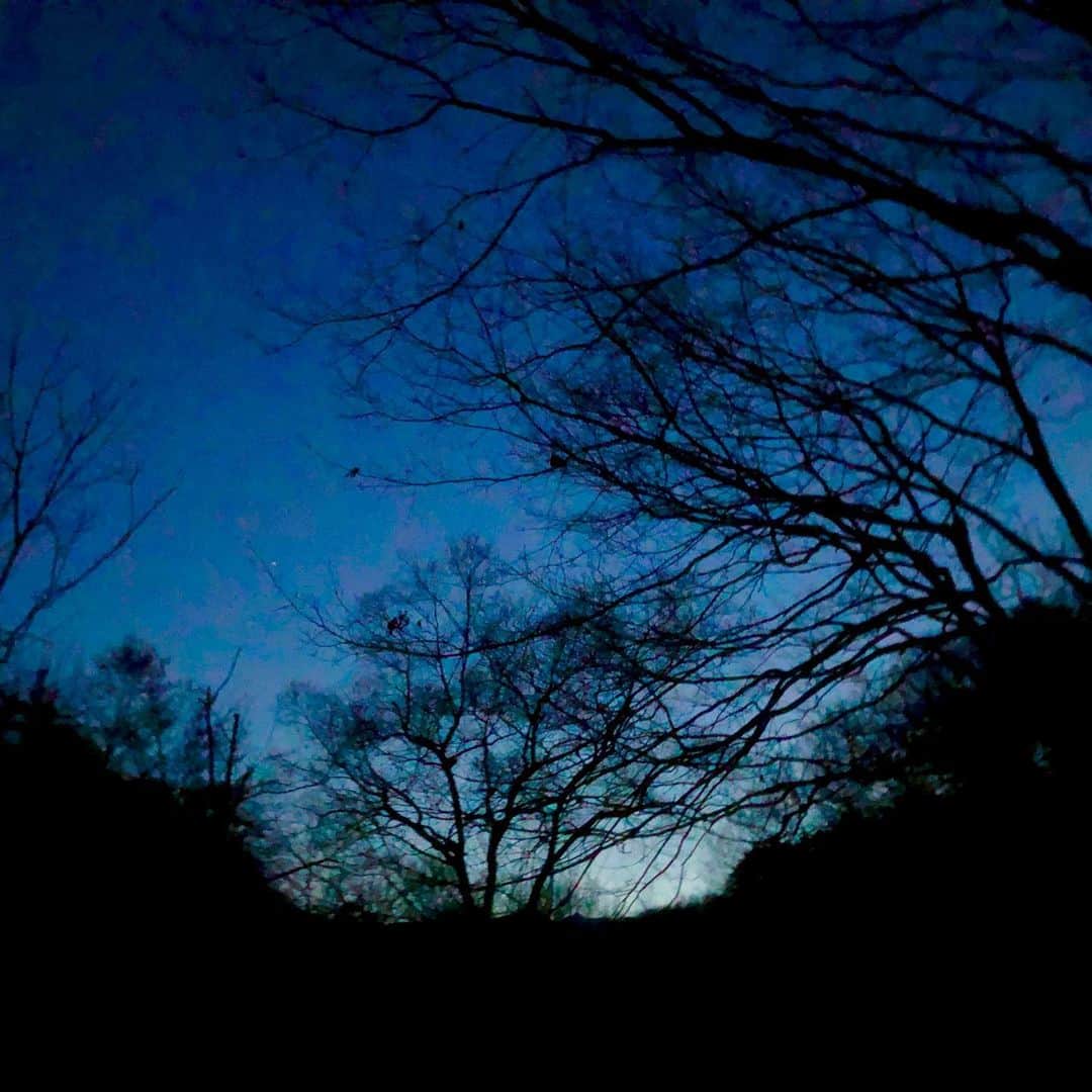 ヒロシさんのインスタグラム写真 - (ヒロシInstagram)「寝る。」3月13日 1時48分 - hiroshidesu.official