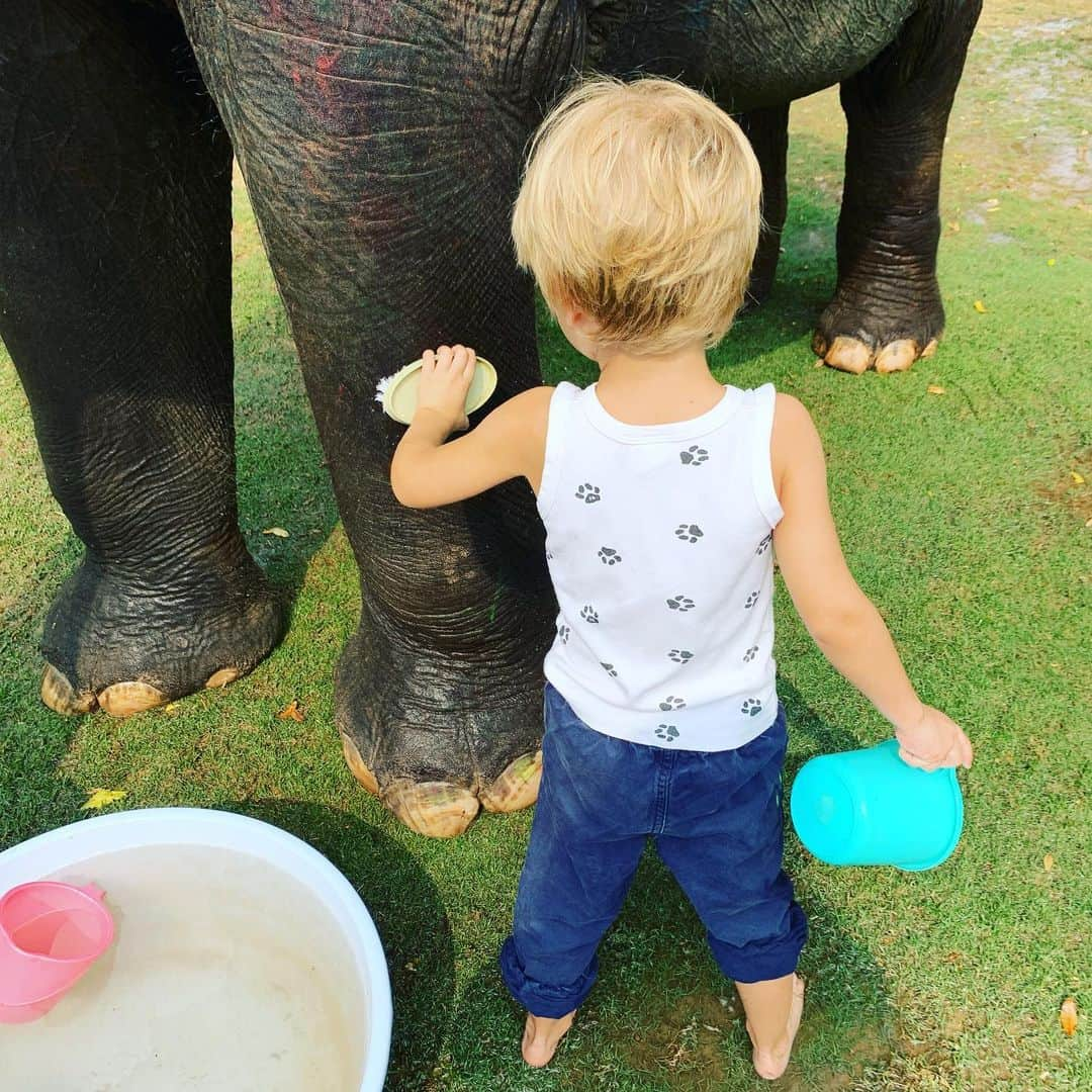 ジェイドジャガーさんのインスタグラム写真 - (ジェイドジャガーInstagram)「Keepittidy #travellingwithray #india washing our hands and feet」3月13日 1時50分 - jadejezebeljagger