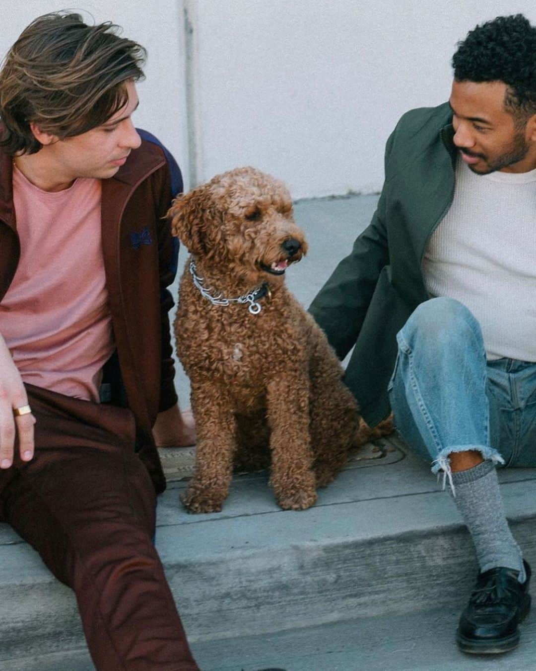 トロ・イ・モアのインスタグラム：「“The Difference” out now everywhere!  Dogs are the truth! (Cats are chill) Photo: @johnliwag」