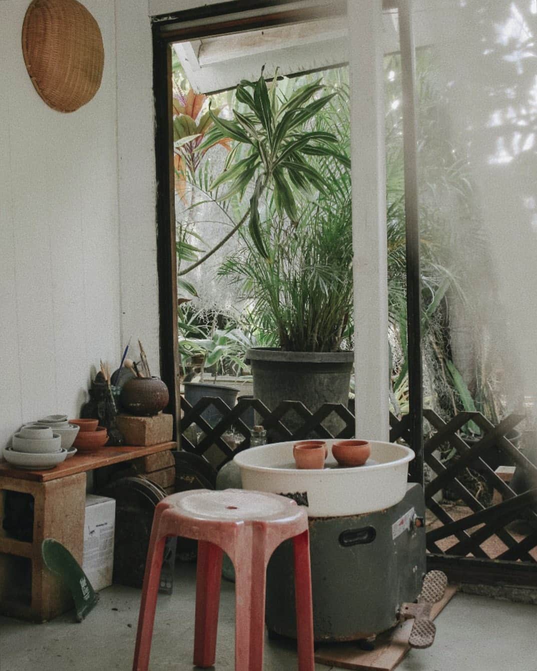 Tamikoのインスタグラム：「zone 🦎 @tamikoclairestoneware #ceramicstudio #junglevibes #tamikoclaire」