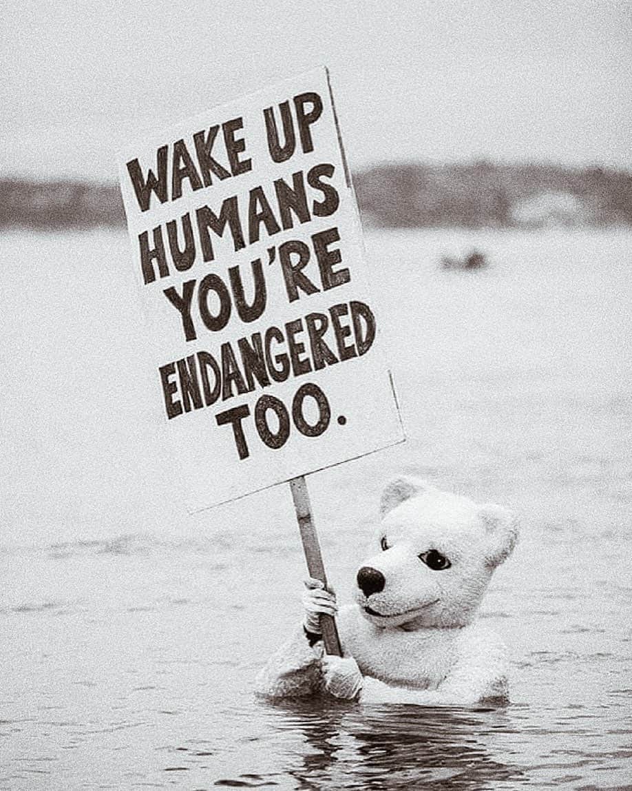 ジプシー05さんのインスタグラム写真 - (ジプシー05Instagram)「The same Earth we're destroying is the same one we live on! Let's wake up and do something about it! #futurefriendly #climatechangeisreal」3月13日 6時21分 - gfl.earth