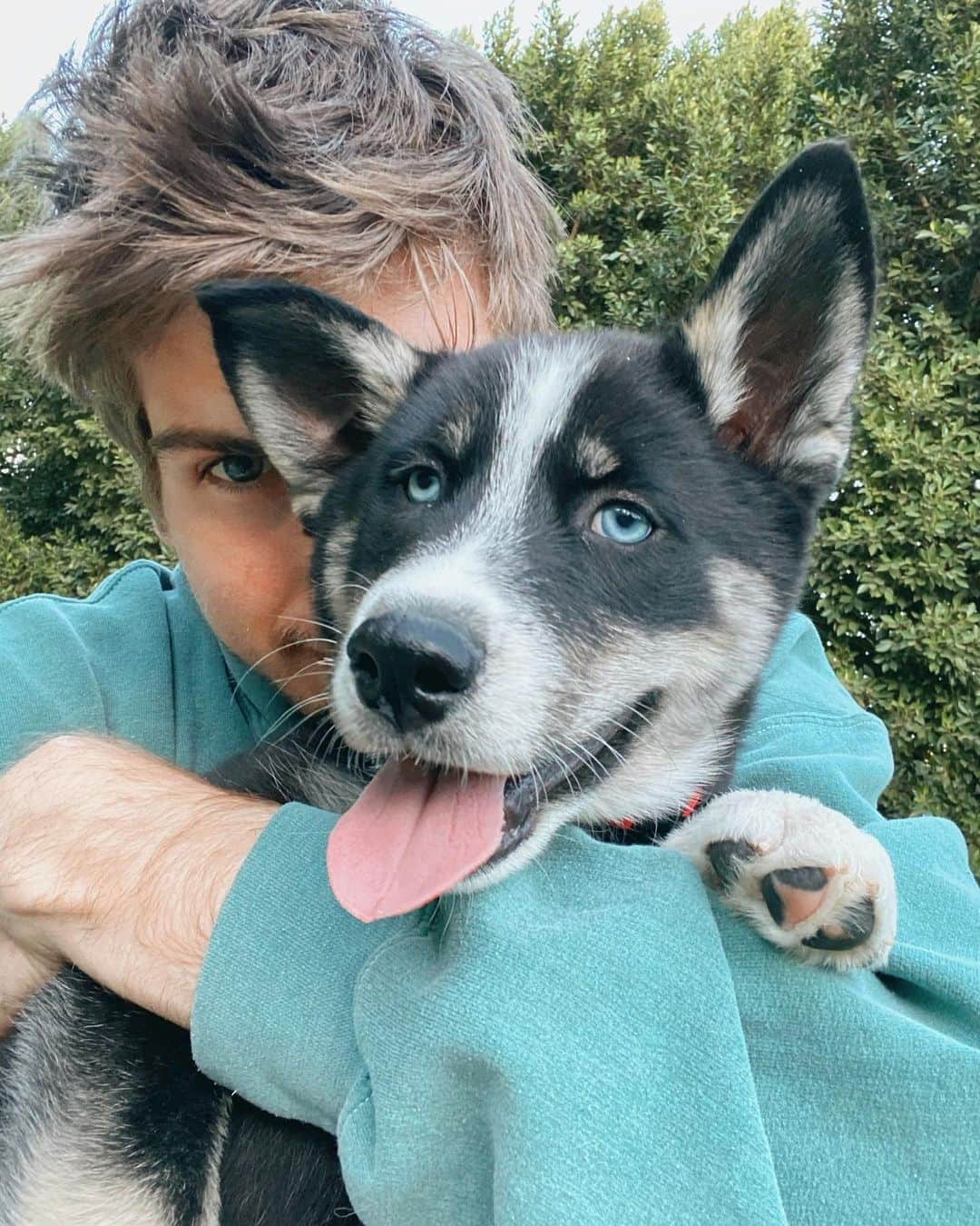 ジョーイ・グレーセッファのインスタグラム：「already missing this handsome man, but so happy @shadowwthehusky officially made it to his forever home where he’ll have the happiest life possible ❤️ link in bio for the full video」