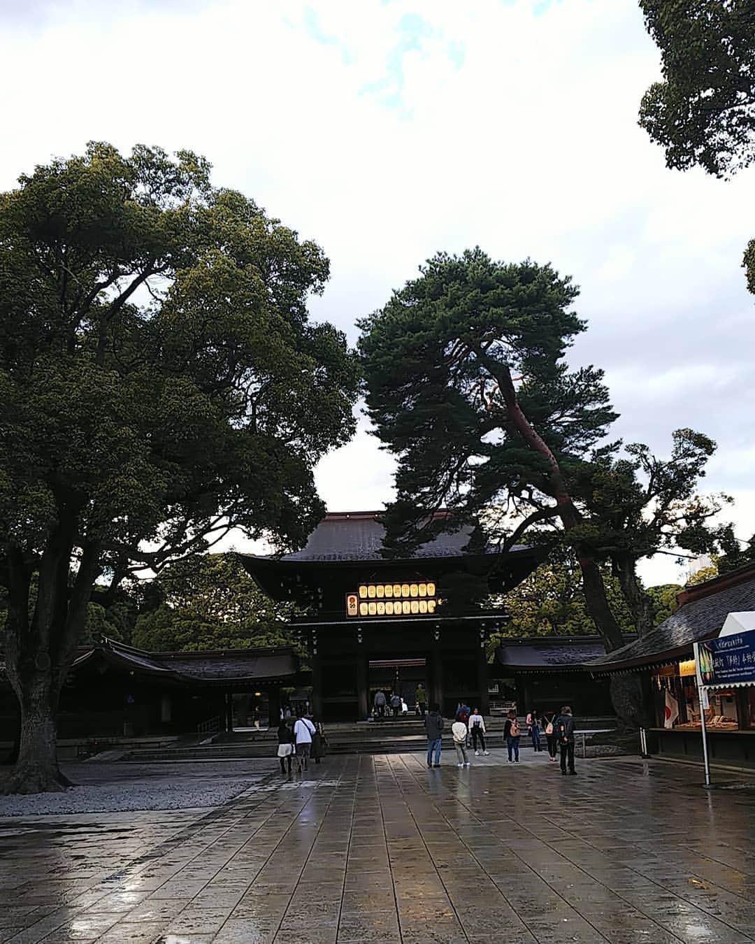 のインスタグラム：「雨上がりの #明治神宮 ⛩️ airlyちゃんに付き合ってもらって行ってきたよー！  コロナで空いてるところが多い中、明治神宮は変わらずでした✨ 今年はいろいろと忙しく参拝が遅くなってしまいました💦 去年までのお守りもお返しできてよかった☺  #参拝記録 #神社好きな人と繋がりたい #airlymomoco #いつもありがとう #原宿 #パワースポット」