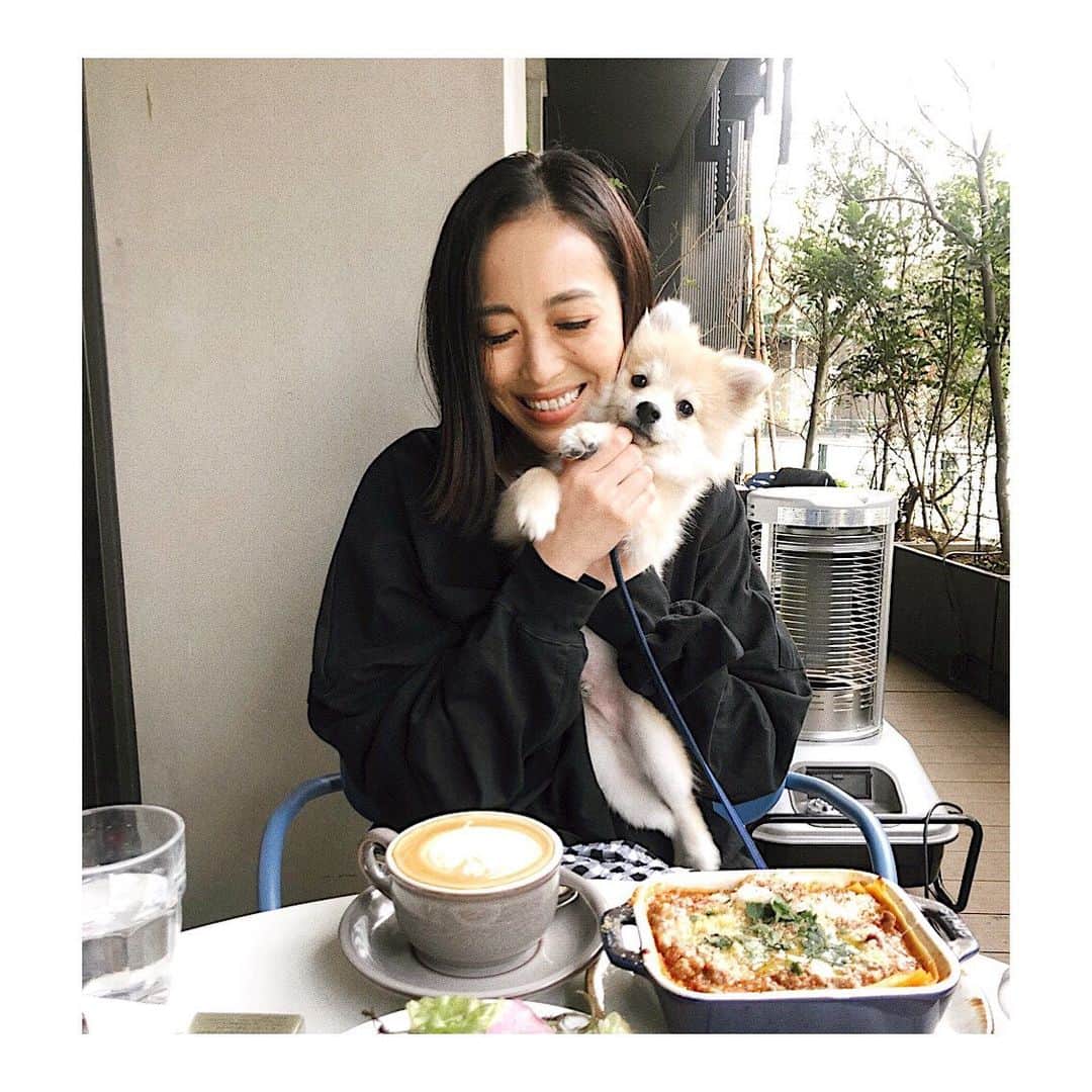 RisaWisteriaのインスタグラム：「ぽんしゅとGM cafe🖤 ここ最近ずーっと頭が痛くて 途方に暮れてたんだけど😭 ぽんしゅと歩いてるとスッキリする気がするからかなり長くお散歩したよ🥰 途中でスリングに入れろーってぐずってたし、カフェでは俺にも食わせろー！って文句言ってたけどw 歩くのだけは本当にお上手☺️💗もぅ本当に大好きすぎてちぎれてしまいそう🥰🥰🥰ぐふー💗  #pomeranian#pomchi#chihuahua#mixbreed#mixbreeddog#dog#puppy#cafe#goodmorningcafe#ポメラニアン#猿期のポメラニアン」