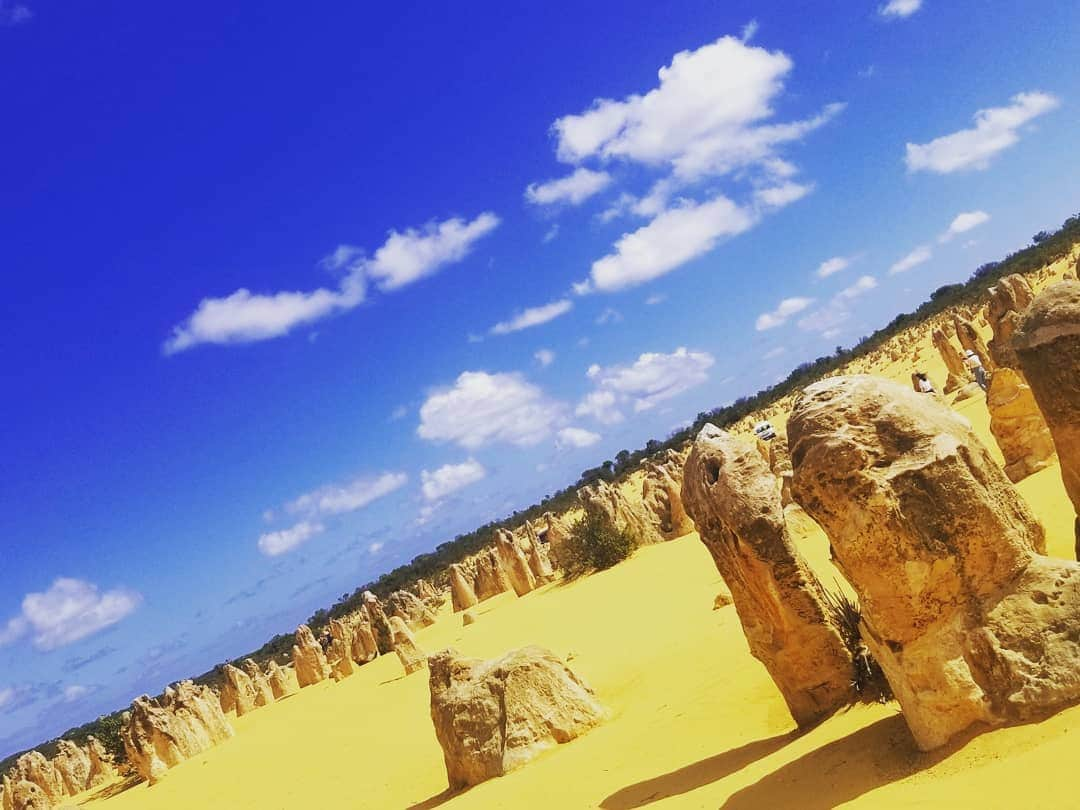 小林レイミさんのインスタグラム写真 - (小林レイミInstagram)「🌍🙏❤️🌠 @toppinpin  #earthporn #travelpost #trip_shot #westernaustralia #perth #desert #naturepics #nature_perfection #pinnaclesnationalpark #砂漠」3月13日 19時13分 - _reimi._____