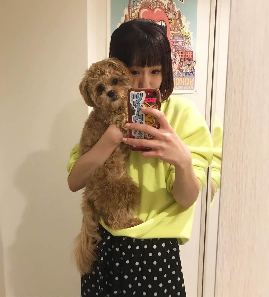 Manitasのインスタグラム：「うちのちっちゃい怪獣〜🦖 でも本物見たら意外にちっちゃくないて言われます。何犬かよくわかりません🐶🦖 #犬のいる暮らし #暴れん坊でも意外に大きくても愛おしいやつです #コマニです」