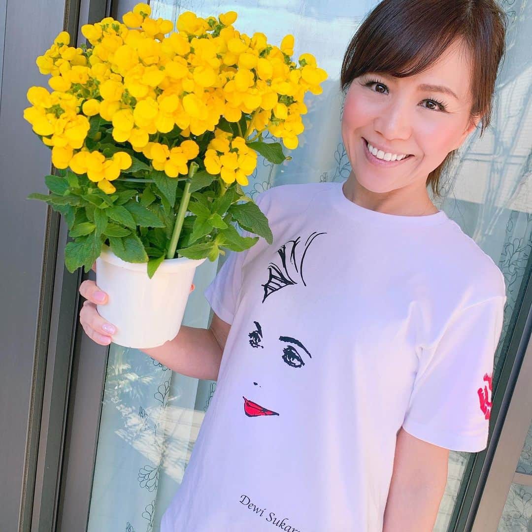 重太みゆきさんのインスタグラム写真 - (重太みゆきInstagram)「今日はスタジオの整理整頓🌸まずはお気に入りのデヴィ夫人Tシャツでお花から🌼🌼🌼笑顔の花を咲かせましょう🌼#tweedia #tweedia活動 #重太みゆき #印象評論家 #デヴィ夫人 #デヴィスカルノ展 #笑顔の花を咲かせましょう」3月13日 19時54分 - shigetamiyuki