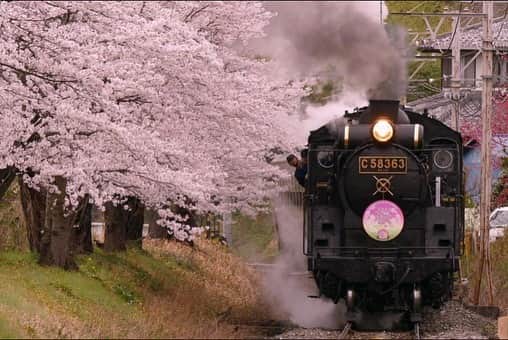 Panasonic ふだんプレミアムさんのインスタグラム写真 - (Panasonic ふだんプレミアムInstagram)「. 【PicMateで桜めぐり🌸】 . 例年よりも早い開花を迎える2020年の桜。 満開が待ち遠しいですね。 . PicMateでは、会員のみなさまから寄せられた 全国の桜スポットの写真を多数掲載しています。 . 野山を彩る桜や幻想的な桜、 荘厳なしだれ桜など、 春のひと時を印象的に写し出しています。 . 風光明媚な桜のある景色をご堪能ください。 --------------------------------- LUMIX CLUB PicMate http://bit.ly/38vpYDC --------------------------------- . #桜 #さくら #sakura #春色 #春が来た #満開 #夜桜 #cherryblossom #春爛漫 #桜色 #日本の春 #絶景 #日本の絶景 #カメラ好きな人と繋がりたい #キリトリセカイ #お写んぽ #一眼カメラ #ルミックス #パナソニック #panasonic #photo #4kphoto #lumix #lumixphotography #nipponpic #otonatabi_japan #retrip_nippon #japan_bestpic_ #japan_photogroup #japan_photo_now」3月13日 12時00分 - panasonicjp