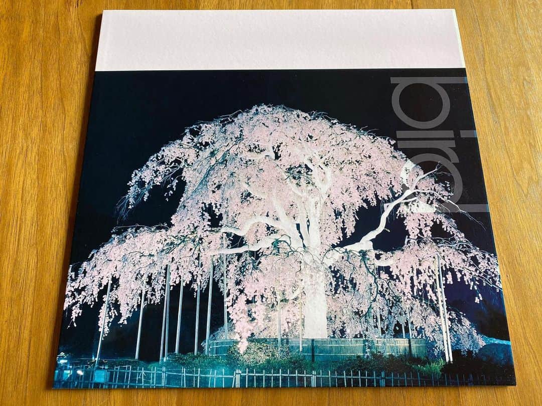 birdのインスタグラム：「東京はまもなく桜の季節🌸 今年も「桜」いろんな場所で聴いていただけたらうれしいです。 掃除をしていたら懐かしい写真が出てきました。撮影で岩手県へ行った時のもの。」