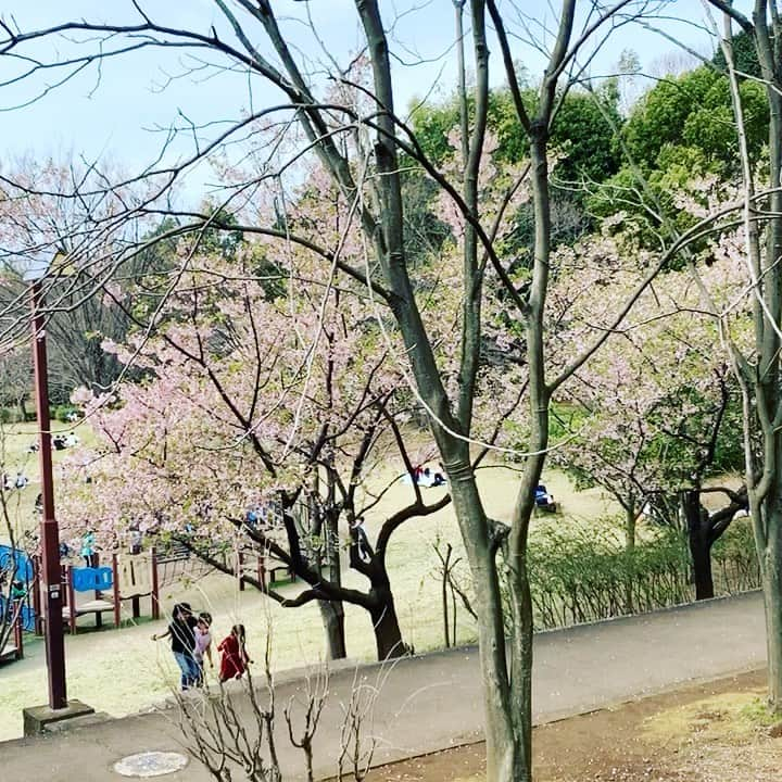 戸田和幸のインスタグラム：「考える事はみんな同じですね☺️ 良い天気、どうせ仕事がないのなら割り切って家族との時間を大切にしたいと思います。 #戸田和幸 #家族 #絆 #良い天気」