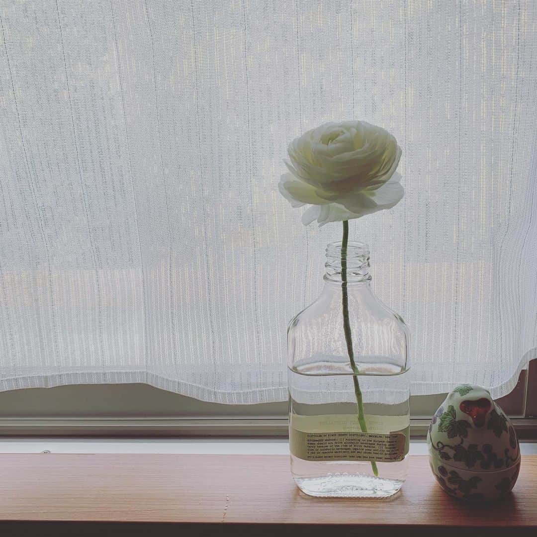 森なな子さんのインスタグラム写真 - (森なな子Instagram)「空瓶再利用🥴 #flower」3月13日 13時46分 - nanako.m1988