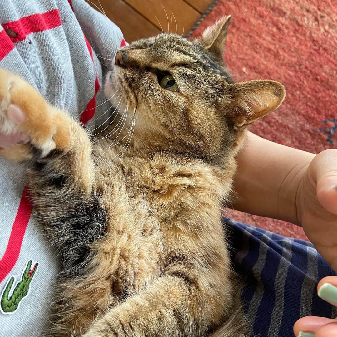 おおたうにのインスタグラム