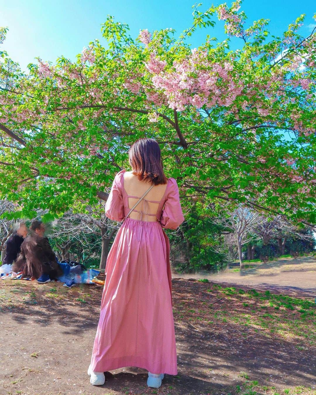 中島絢乃さんのインスタグラム写真 - (中島絢乃Instagram)「🌸🌸🌸﻿ ﻿ ﻿ もうすぐ開花宣言するかな？😳💭📣﻿ どうかな？😳💭🌸﻿ ﻿ ﻿ ﻿ ﻿ 毎年観に行っている﻿ (ピクニックじゃなくて、﻿ もはやここ数年ただお昼寝しに行っている←)﻿ #西郷山公園 の桜を観に行ったんだけど…﻿ もうほぼ葉桜になっていました🤣🌸🌸🌿﻿ ﻿ ﻿ ﻿ ﻿ ﻿ ﻿ せっかくなので、 久々にディズニー以外のコーデを💭﻿ ﻿ 👗：#rosarymoon (@rosary.moon)﻿ 👜：#elura (@elura_official ) ﻿ ﻿ 展示会でオーダーしていた﻿ ロザリーの新作です💫💭🌸﻿ もちろん上着羽織っていました🤘🏻﻿ ﻿ 絶妙な大人ピンクでお気に入り！🌸💘﻿ ﻿ ❤︎❤︎❤︎❤︎❤︎❤︎❤︎❤︎❤︎❤︎❤︎❤︎❤︎❤︎❤︎❤︎❤︎❤︎❤︎﻿ #daikanyama#cherryblossom#156cm」3月13日 14時45分 - nakajima_ayano