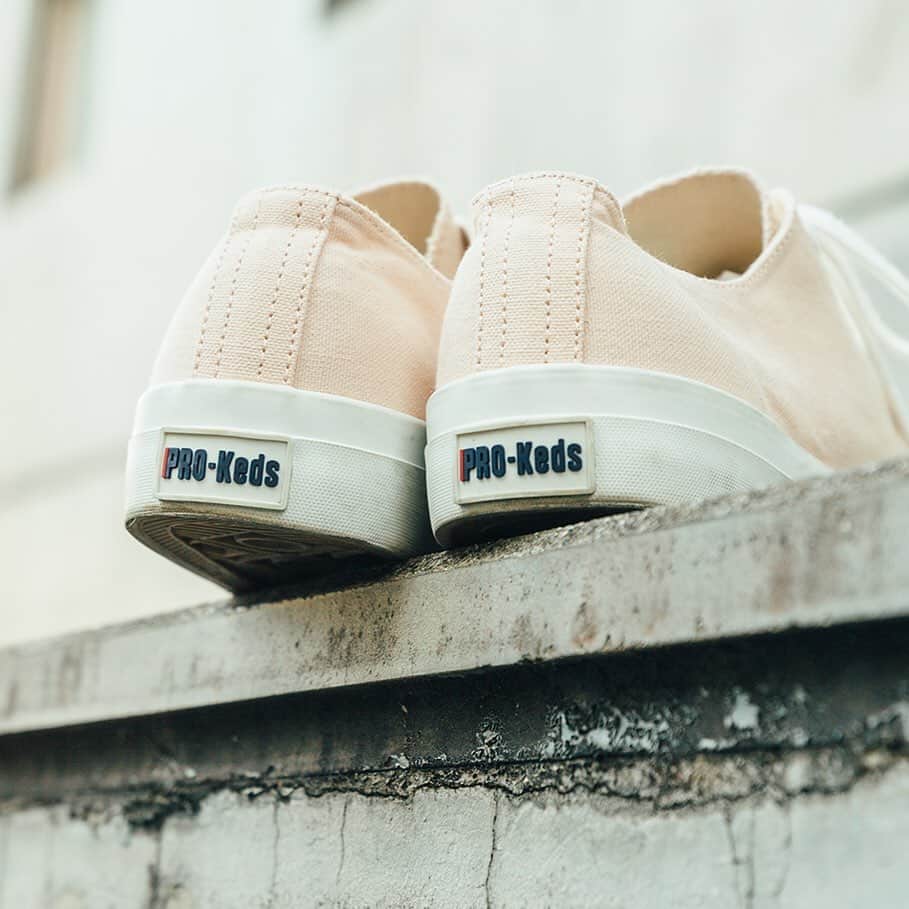 prokeds_jpのインスタグラム：「. PRO-Kedsの定番であるROYAL AMERICA LOを淡いピンクで仕上げたシーズナルモデル。やわらかな色合いが女性らしさを引き立て、春夏らしい雰囲気を演出。70年代には若者のカルチャーシーンと強く結びついて、アイビーファッションに愛用された1品は要注目です。  PRO-Keds ROYAL AMERICA ロイヤルアメリカ  #プロケッズ #ロイヤルアメリカ #シューズ #スニーカー #prokeds #royalamerica #kicks #shoes #sneaker #sneakers #fashion #instafashionista」