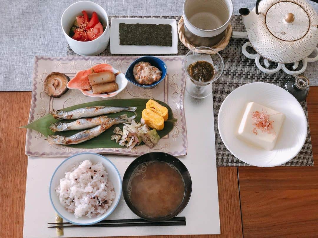 英玲奈さんのインスタグラム写真 - (英玲奈Instagram)「#今日の朝ご飯 #夫の朝ご飯 昨日のデジャヴ感否めないけどw #アマランサス入りご飯 #豆腐の味噌汁 #柳葉魚 #キャベツのゆかり和え #卵焼き #納豆 #焼きネギ麺つゆマリネ #焼き椎茸 #アカモク #冷奴 #海苔 #胡瓜とトマトのマリネ #ていねいな暮らし #季節を感じる暮らし#からだにいいこと #からだにやさしいごはん #おうちごはん#夫の健康守りたい#10年後の健康の為に#無添加#無化調#オーガニック#低gi #美腸活#趣味生活#erenakitchen」3月13日 15時23分 - erena_erenyan