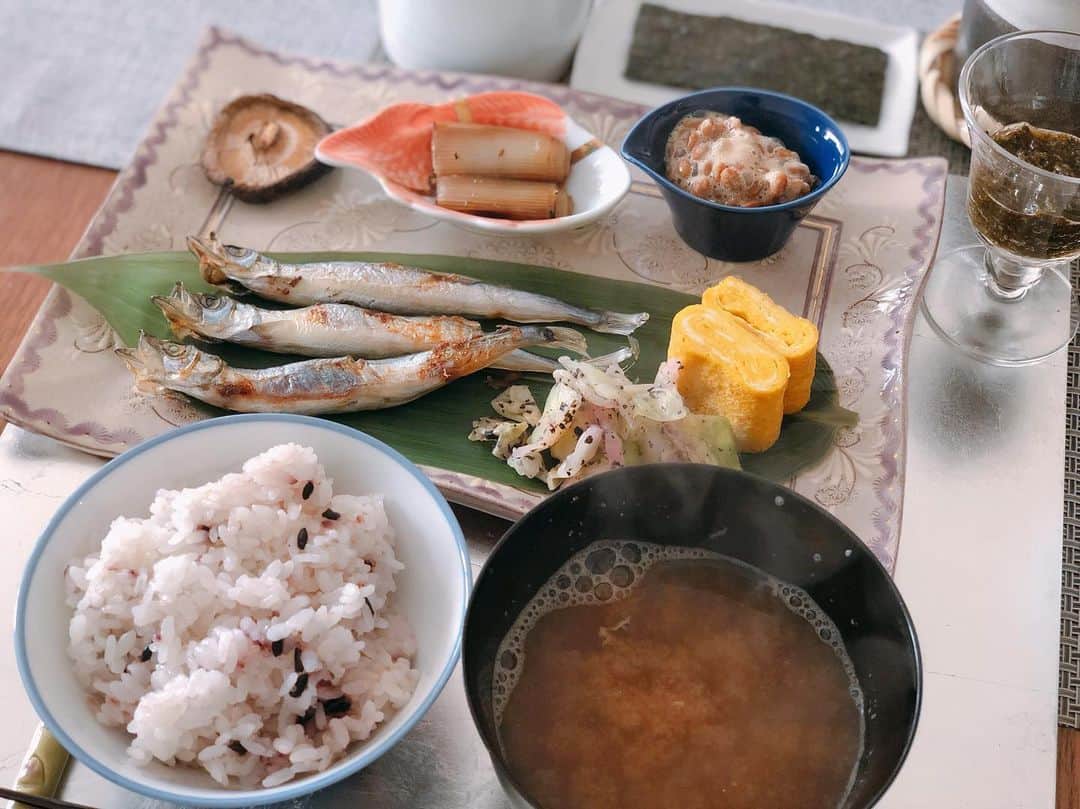 英玲奈さんのインスタグラム写真 - (英玲奈Instagram)「#今日の朝ご飯 #夫の朝ご飯 昨日のデジャヴ感否めないけどw #アマランサス入りご飯 #豆腐の味噌汁 #柳葉魚 #キャベツのゆかり和え #卵焼き #納豆 #焼きネギ麺つゆマリネ #焼き椎茸 #アカモク #冷奴 #海苔 #胡瓜とトマトのマリネ #ていねいな暮らし #季節を感じる暮らし#からだにいいこと #からだにやさしいごはん #おうちごはん#夫の健康守りたい#10年後の健康の為に#無添加#無化調#オーガニック#低gi #美腸活#趣味生活#erenakitchen」3月13日 15時23分 - erena_erenyan