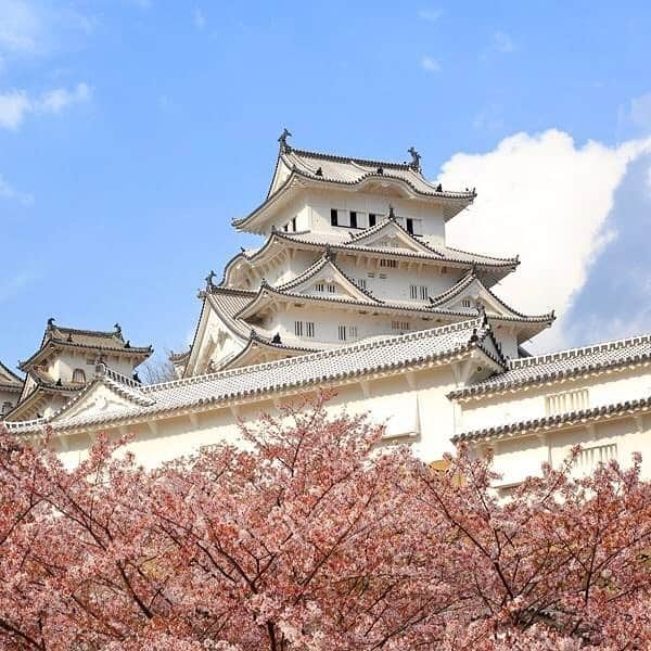 ホテルモントレグループのインスタグラム：「春の風物詩、姫路城と桜。今年の開花は早そうですね！ . The Himeji Castle and cherry blossoms. Spring is just around the corner! . #ホテルモントレ姫路 #ホテルモントレ #姫路城 #世界遺産 #城 #桜 #サクラ #花見 #姫路 #春 #himejicastle #himeji #hotelmontereyhimeji #hotel monterey#hotel #castle #worldheritage #cherryblossom #japancastle #sakura #cherry #visitjapan #japan_of_insta」