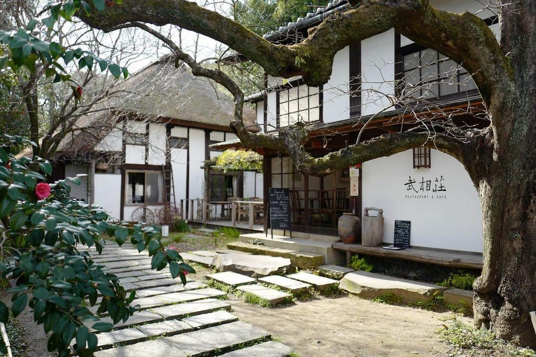 行方 久子 Hisako Namekataのグルメインスタ