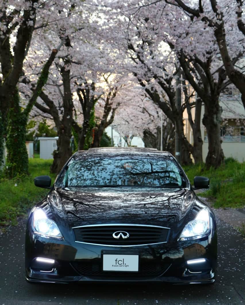 fcl.(エフシーエル)さんのインスタグラム写真 - (fcl.(エフシーエル)Instagram)「. 春のサキドリ🌸 本格的な桜シーズンがやってくる前に、 過去の#fclフォトコンテスト 作品の写真を紹介していきます！今年の#桜と愛車 写真撮影のために、 お気に入りの構図を見つけてみてくださいね♪ フォトコンテストへのご応募もお待ちしております📷 . ともつ様 日産#スカイラインクーペ #CKV36 H.20年式 ***************** 【取り付け商品】 ・ヘッドライト #fcl純正HID交換用バルブ 8000K ・フォグランプ> #fclHIDキット H1 8000K ・ポジション球 #fclLEDT10 SMD5連 ブルーイッシュホワイト ***************** 【Owner様のコメント】 かなり明るくなり大満足です！ . fcl春のフォトコンテストも開催中！🌸 皆様のご応募を心よりお待ちしております！ . ▶応募＆商品の詳細は写真内のタグをタップ！ またはプロフィールのリンクからどうぞ →@fcl_ledhid ***************** . . . . . . #fcl #エフシーエル #車のある風景 #愛車 #車好き #車好きな人と繋がりたい #車撮影 #車好きと繋がりたい #車の写真が好きな人と繋がりたい #愛車撮影 #愛車自慢 #愛車の好きな角度バトン #愛車紹介 #愛車のある風景 #車好きと繋がりたい #スカイラインv36 #スカイライン #skylinev36 #skyline #v36 #スカイラインv36 #v36sedan #日産スカイライン」3月13日 17時30分 - fcl_ledhid