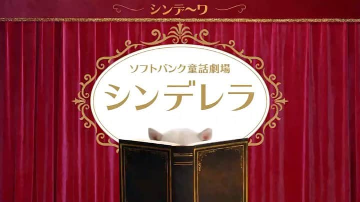 のインスタグラム：「* #祝ソフトバンクさんのWEB動画に出演 #ありがティン #ソフトバンク童話劇場 #シンデ～ワ #電話でスマホが購入できる #ソフトバンク電話店 #今すぐみんなもスターティン！ #PR」