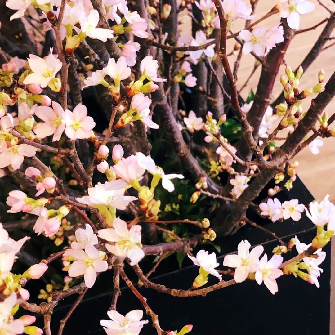 ホテルグランヴィア大阪のグルメインスタ