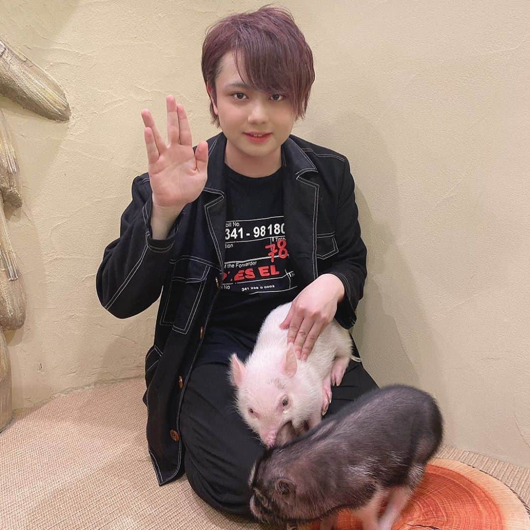 にきぽんさんのインスタグラム写真 - (にきぽんInstagram)「子豚カフェ行ってきた(^🐽^)」3月13日 20時43分 - syunsyun73