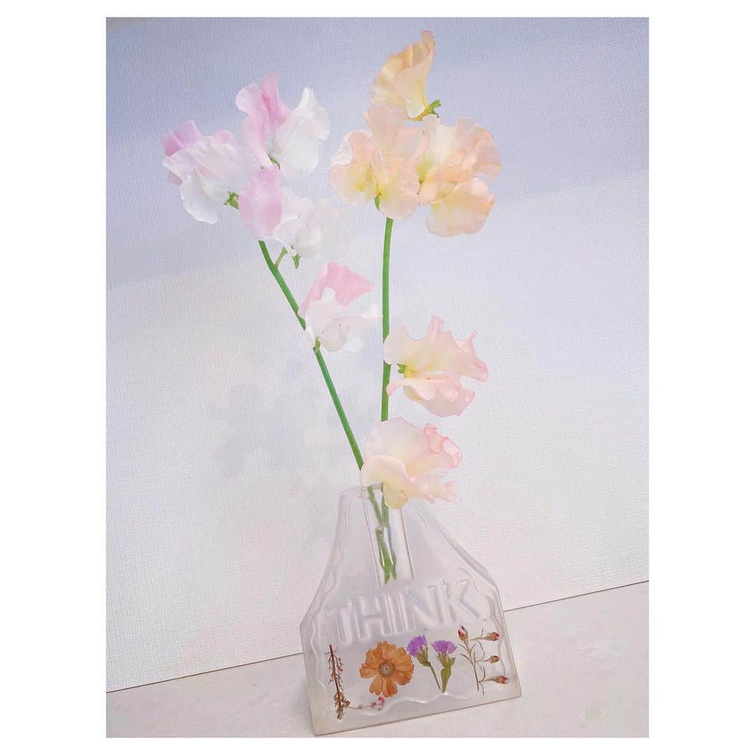川栄李奈さんのインスタグラム写真 - (川栄李奈Instagram)「お久しぶりです☺︎ ちょうど1ヶ月ぶりだっ。 初挑戦なことをしたり ゆりあんにんに会ったり いろいろと元気に楽しんでおります。 ゆりあんにんがくれた花瓶に スイートピーを🌷 可愛すぎる ありがとう♡」3月13日 22時00分 - rina_kawaei.official