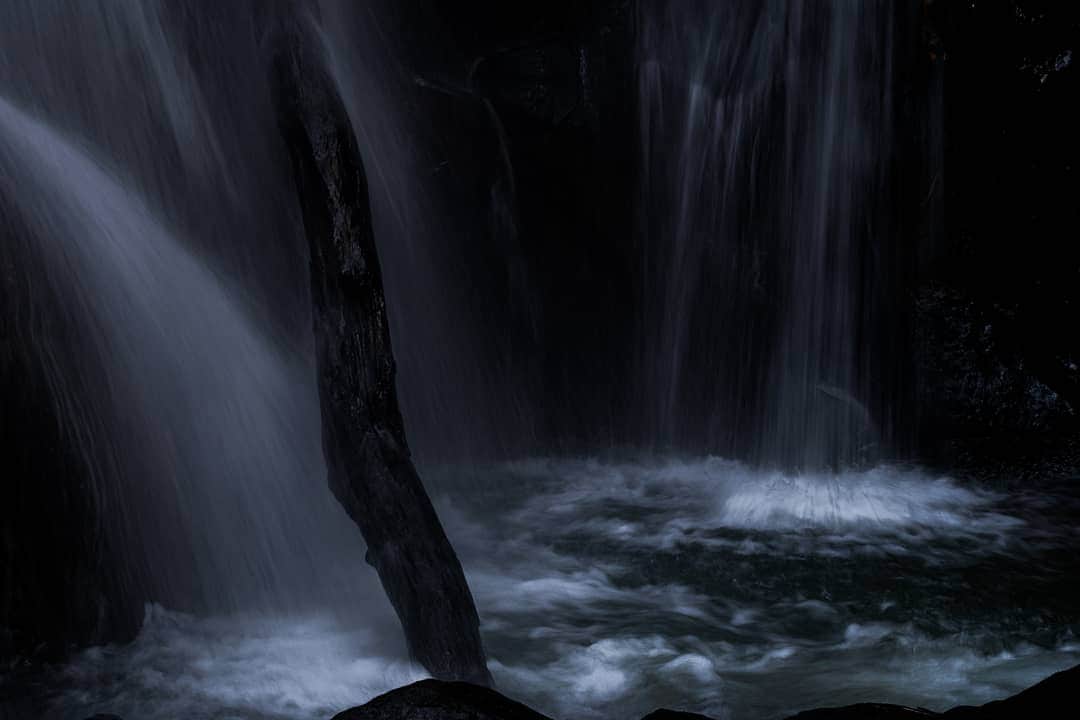 鹿児島よかもん再発見さんのインスタグラム写真 - (鹿児島よかもん再発見Instagram)「鹿児島市犬迫町のふずん滝へ(^-^)/ 三年半ぶりぐらいでしょうか。相変わらずルートはわかりやすいものの滑りそうな足場です。。 撮影アングルは狭いのですが、水量に恵まれた滝で楽しめます。  #鹿児島 #鹿児島観光 #どんどん鹿児島  #犬迫  #鹿児島の滝 #鹿児島の自然 #鹿児島の風景 #kagoshima #kagoshimaphotograph #滝 #waterfall #ふずん滝」3月13日 23時01分 - kagoshimayokamon