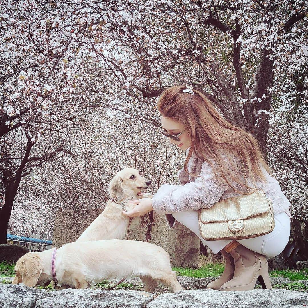 鈴木絢子のインスタグラム