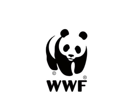 松本英子さんのインスタグラム写真 - (松本英子Instagram)「WWFさんのパンダマーク、以前からよく見かけていて気になっていたんですが...EARTH HOURという世界規模の環境キャンペーンを毎年行っていて、なんと世界各国同じ日の同じ時間帯に電気を消すという消灯イベントを開催しているそうなんです。それは温暖化を防いで美しい地球を守るための大きな一歩✨✨✨ その一大イベントに向けて、60体のパンダちゃんが日本各地でリレーをしているそうなのですが、私はShusuiさんからバトンを受けて、この子【名前はミルク🐼】とパチリ✨  このプロジェクトの詳しい内容はこちら🙌https://www.wwf.or.jp テーマソングは我らが曽根由希江ちゃんが担当しています🎤 皆さんも是非身近なパンダちゃんと写真を撮ったりしてjoinしてみて下さいね😆 ‪#WWF‬ ‪#EarthHour2020 ‬ ‪#旅する60パンダ ‬」3月13日 23時18分 - matsumoto__eiko