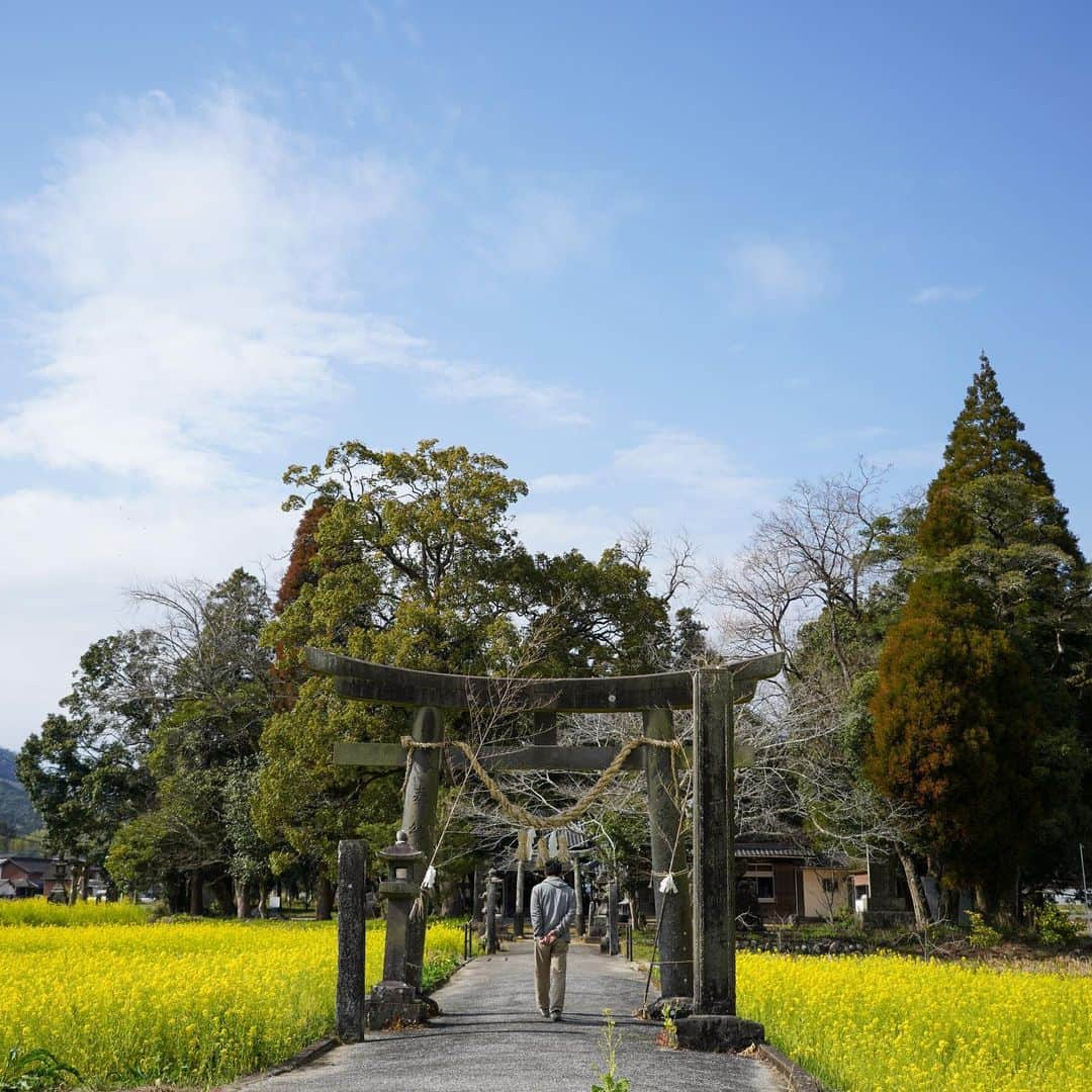 小山田大さんのインスタグラム写真 - (小山田大Instagram)「Beautiful Japanese scenery.  行縢山に行く途中にある神社。 この季節好きだなあ。」3月14日 0時34分 - dai_koyamada