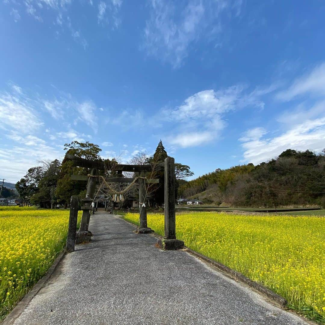 小山田大さんのインスタグラム写真 - (小山田大Instagram)「Beautiful Japanese scenery.  行縢山に行く途中にある神社。 この季節好きだなあ。」3月14日 0時34分 - dai_koyamada