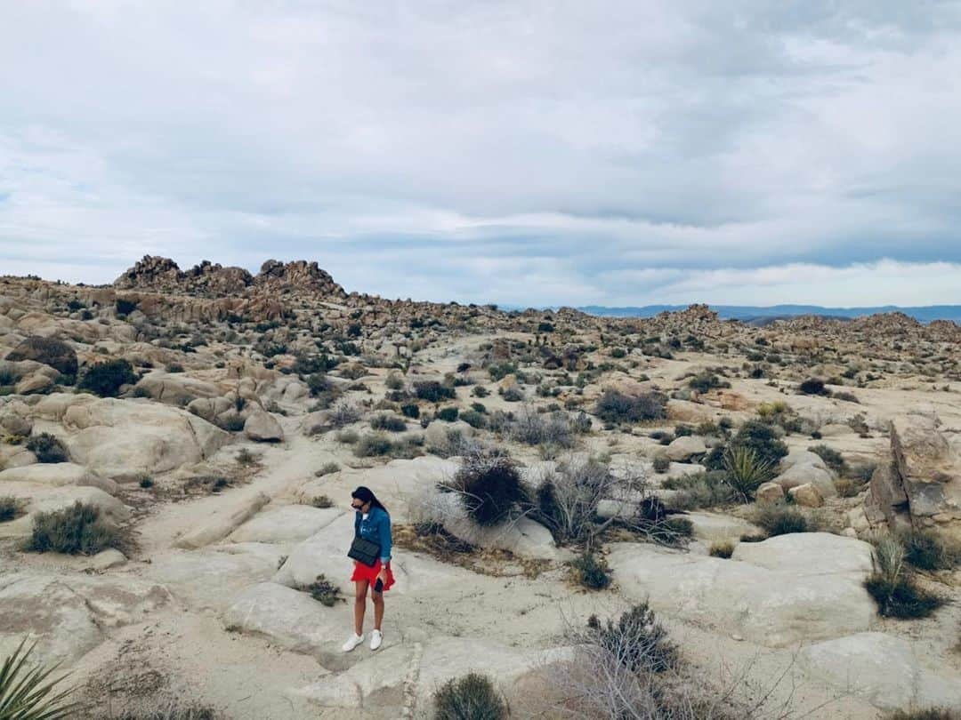 マリ・ヴァルトマンのインスタグラム：「Last Cali pic I promise but this one literally explains the current mood . . . #lockdown #alone #nature #healingnature #california #desert #mojave #travel #stayhealthy #naturetakesitback #yuccavalley #joshuatreenationalpark #palmsprings #daytrip #somewhereinnowhere #beautifulnature #emptyness #nopeople」