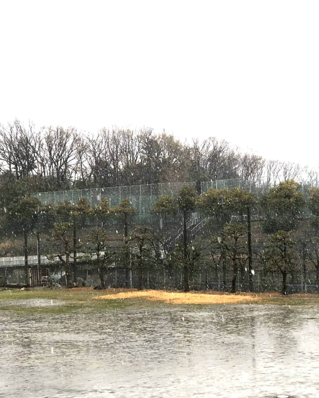 光石研のインスタグラム：「東京近郊、雪✌️ロケ決行✌️ 【by 光石】」