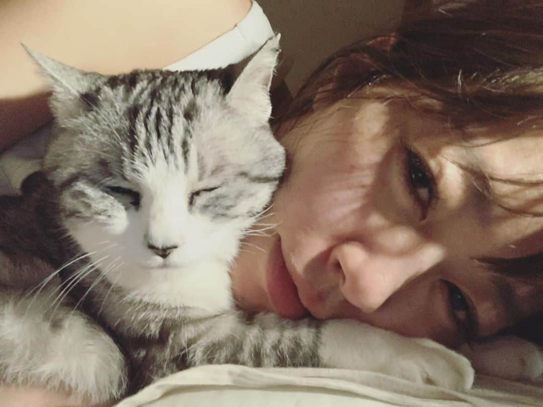 坂本美雨さんのインスタグラム写真 - (坂本美雨Instagram)「最近すんなり寝付けず 寝起きもズーンでちょっと太った！ のだが、 春はわりとこうなりがち。 デトックスしよ🌿🌿 #cat #サバ美」3月14日 13時16分 - miu_sakamoto