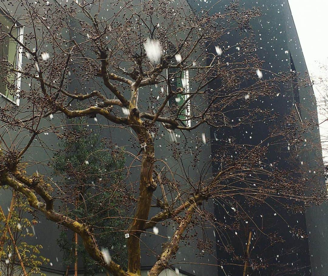 六車奈々さんのインスタグラム写真 - (六車奈々Instagram)「横浜は、すごい雪だーっ！  #ボタ雪 #すごいーっ」3月14日 14時37分 - nanarokusha