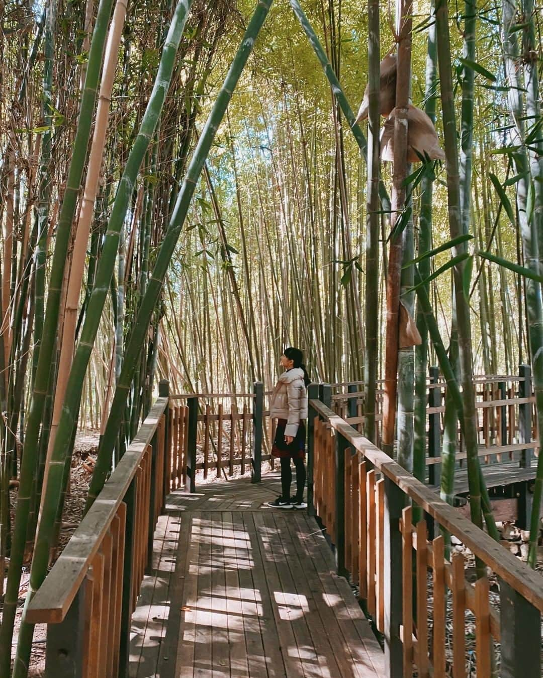 近藤麻理恵さんのインスタグラム写真 - (近藤麻理恵Instagram)「Communing with nature at @thegoldendoor a few weeks ago. 💚」3月14日 10時06分 - mariekondo