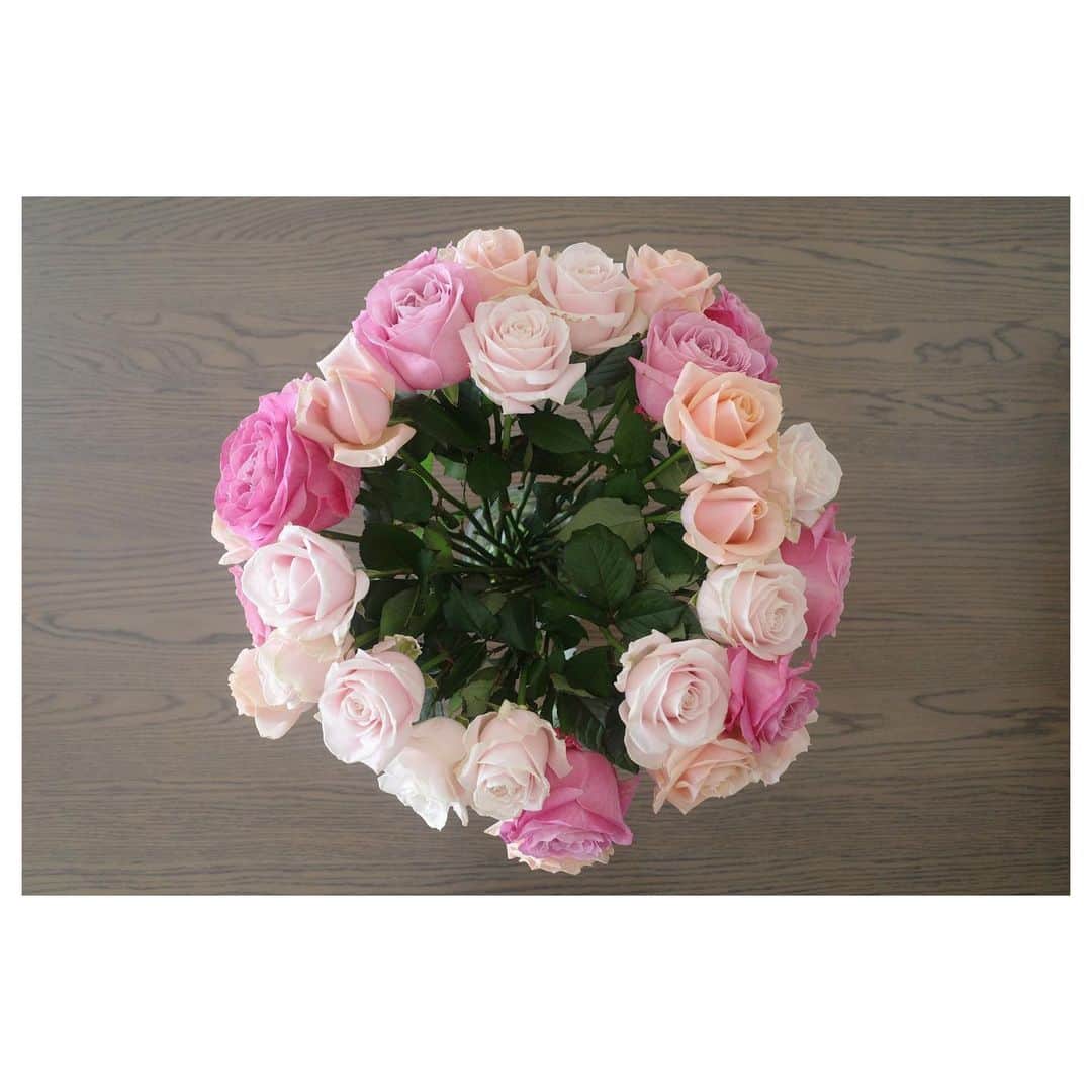 高垣麗子さんのインスタグラム写真 - (高垣麗子Instagram)「・ ・ ・ @story_love40 の撮影で いただいた薔薇が美しい𓂃✨✨ いつもより少し暗い 雨の日のリビングですが おかげさまで華やかです☺️✨✨ ・ ・ #flower  #rose #happy」3月14日 11時32分 - reikotakagaki